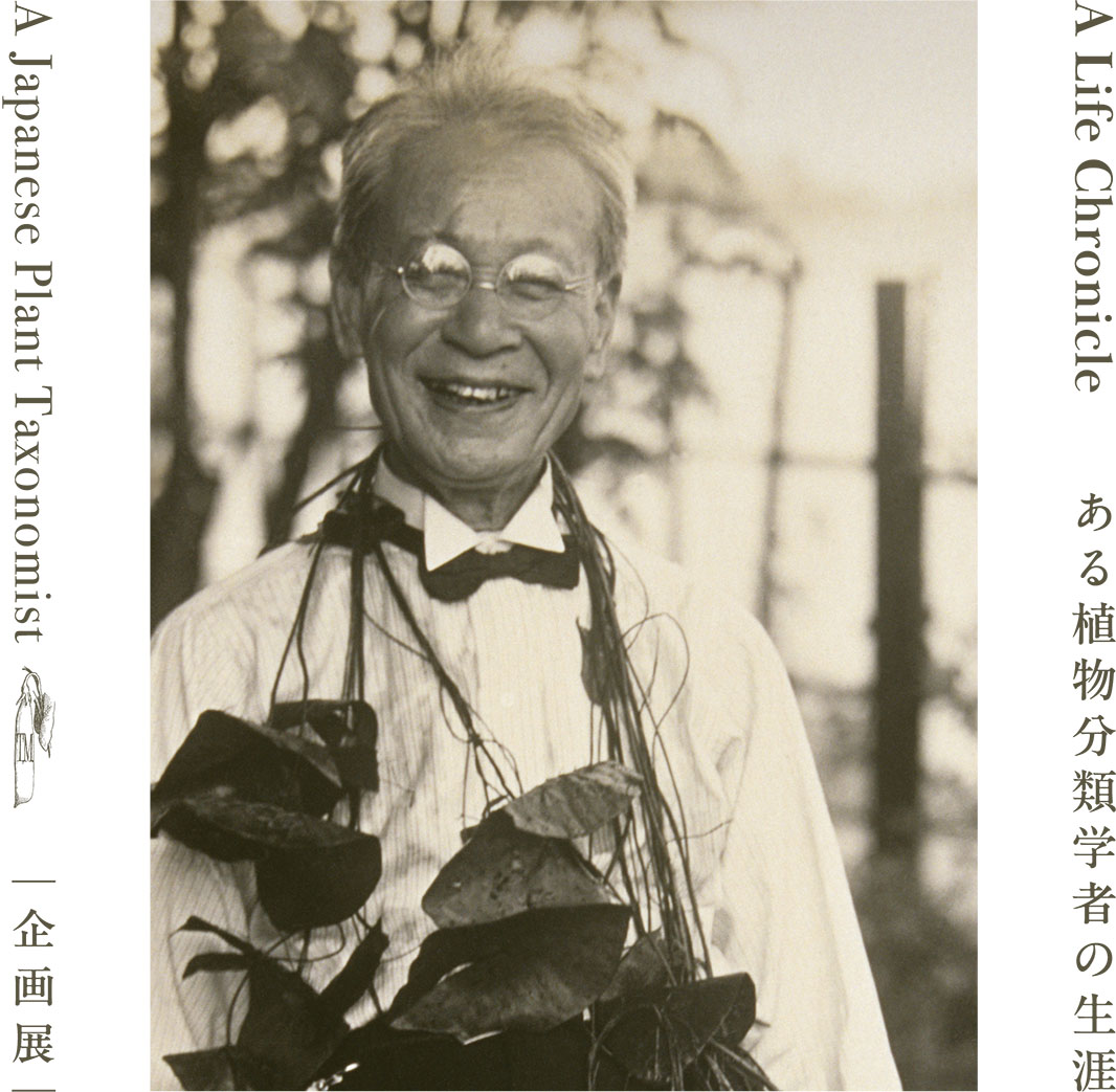 牧野富太郎物語 | 牧野植物園