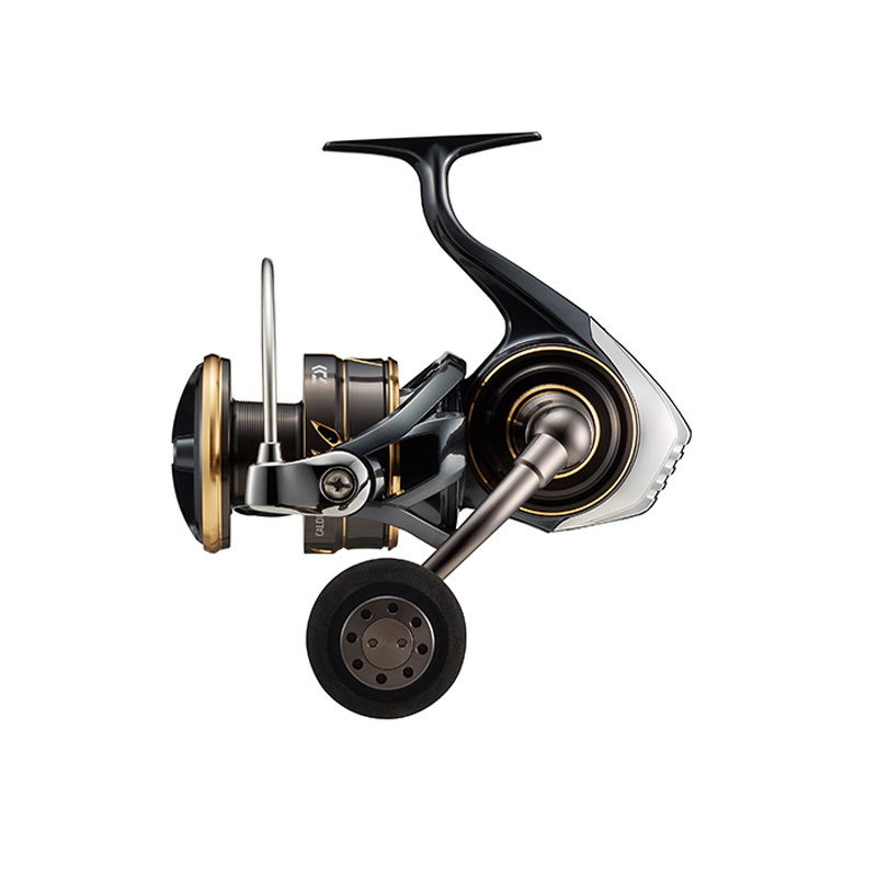 ダイワ(Daiwa) 22 CALDIA(カルディア) SW 8000-H 00065053｜アウトドア