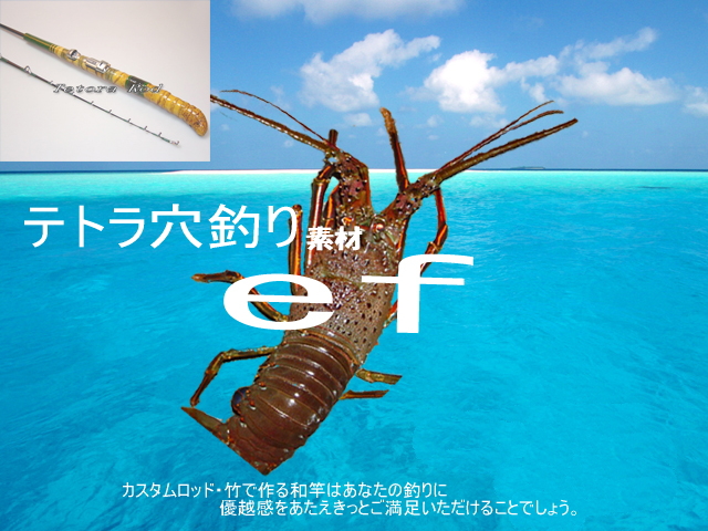 伊勢海老竿 テトラ竿 和竿 布袋竹 ハンドメイドロッド 希少✨伊勢海老竿