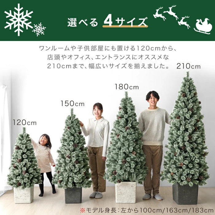 3m】【大きい】【特大】【激安】【直接のお取引きも可】 クリスマス