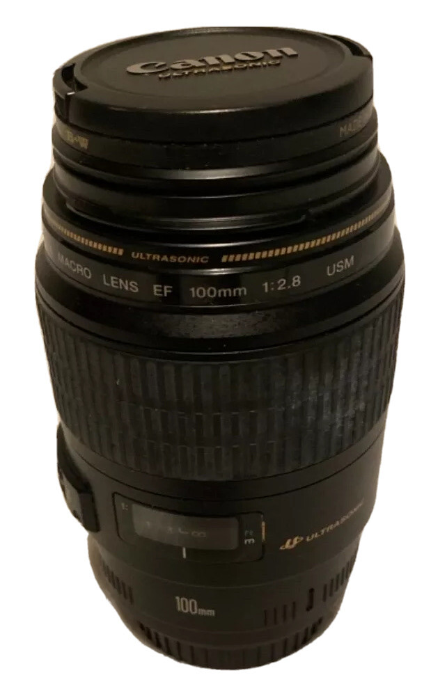 Cannon Ultrasonic Macro Lens EF 100mm | eBay