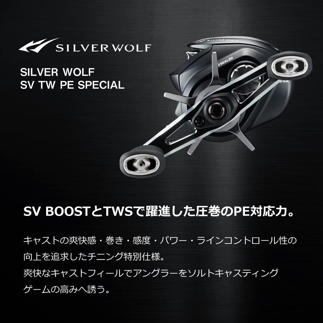 Daiwa Silver Wolf SV TW 1000XHL PE SPECIAL Baitcasting Fishing