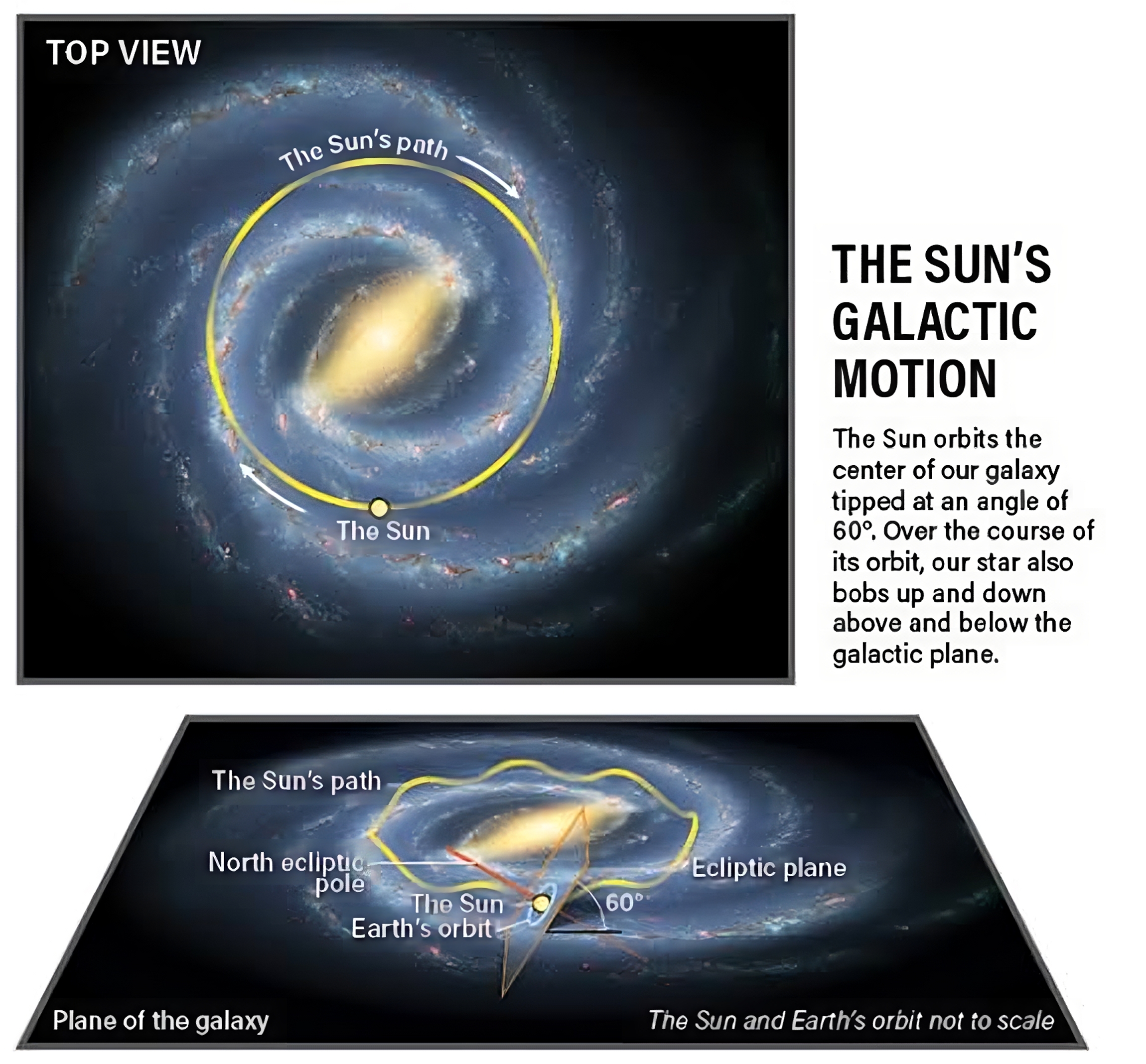 The Sun's Galactic Motion : r/spaceporn