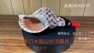 法螺貝（ほら貝）販売のお店