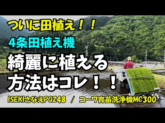 ついに田植え！！4条田植え機での植え方（お父さん流）教えます】ISEKI