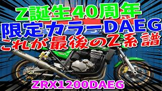 □Shiina Motors Ichikawa Store - Discontinued Edition□Kawasaki