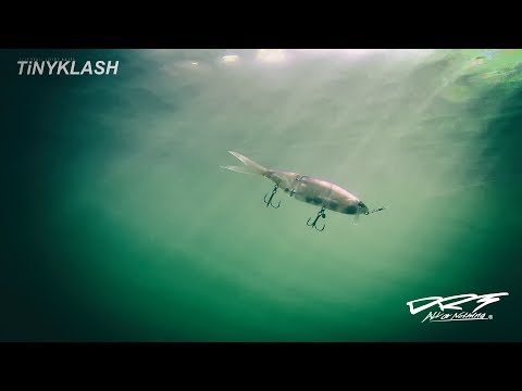 タイニークラッシュでデカバスを攻略！琵琶湖で話題のビッグベイトを