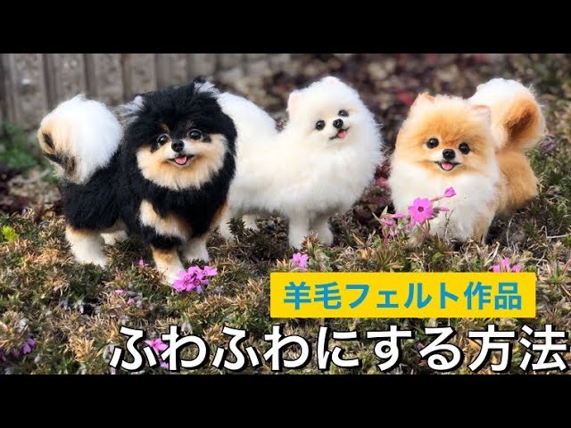 ふわふわ ポメラニアン 【毛の手入れの仕方】羊毛フェルト - YouTube