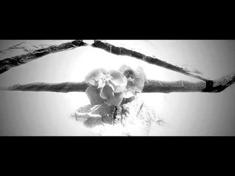 WELD MUSIC - YouTube