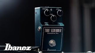 Ibanez TS808HWV2 Demo | TS808 Hand-Wired Version 2 Tube Screamer
