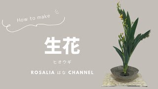 いけばな/池坊】生花 ヒオウギ 夏 【ikebana flower arrangement