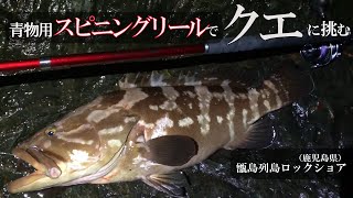 青物用スピニングリールでアラに挑む！（クエ、モロコ）【甑島列島