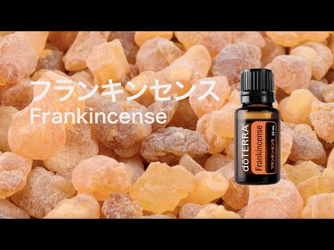 フランキンセンス - doTERRA TIMES