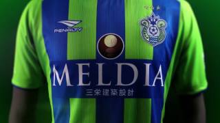 湘南ベルマーレ ユニフォーム 14 FUJITA 藤田征也 湘南ベルマーレ