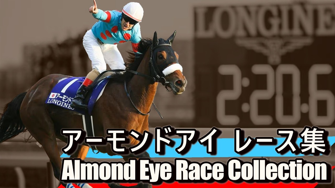 期限切れ単勝馬券】 ジャパンカップ 2008 全出走馬 スクリーンヒーロー