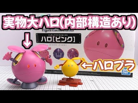 実物大のハロ[ピンク]が手のひらに！！【ガンプラ】フィギュアライズ