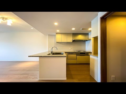 東京23区送料無料 マンション展示場未使用品 キッチンカウンター 東京