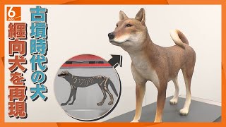 Did Himiko also pet it?] Recreating the 