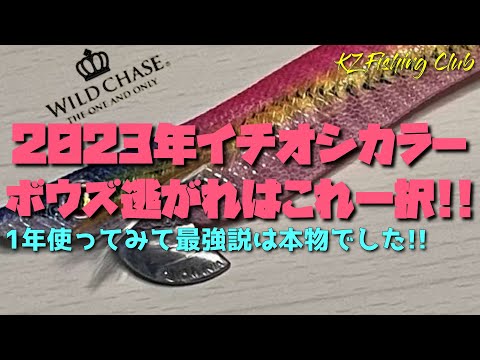 スクイッドマニア バランサー☆人気カラー☆エギング☆釣り引退☆処分