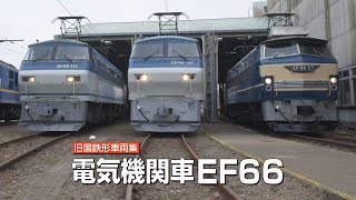 EF66 電気機関車 前照灯 EF66 電気機関車 前照灯 電気機関車 EF66 前期