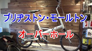 ブリヂストンモールトン BSMoulton フェンダーセット新品希少 Yahoo
