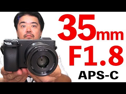 ソニーの撒餌レンズ良いぞ！SONY E 35mm F1.8 OSS SEL35F18 ミラーレス