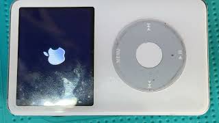 iPod classic 5th generation (Late 2006) display screen and battery