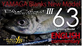 BlueCurrentⅢ 63 on shallow beach 