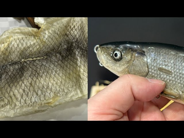 Check out Fresh Bait Lures, a company that releases lures using