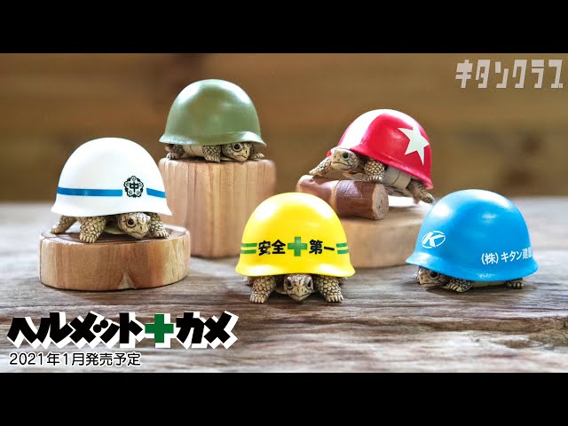 メートランドスミス】帽子をかぶった亀の置物 メートランドスミス