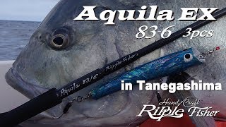 Aquila EX 83-6/マルチ3ピースロッド GT釣行 in 種子島 - YouTube