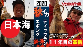 残り1組早い者勝ち バレーヒル ティップラン 秋イカ エギ 3.0号 10本