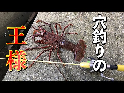 I caught a spiny lobster!!! [Ise fishing] - YouTube