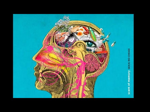 作業用】scent of memoryメドレー/SEKAI NO OWARI【オルゴール】 - YouTube