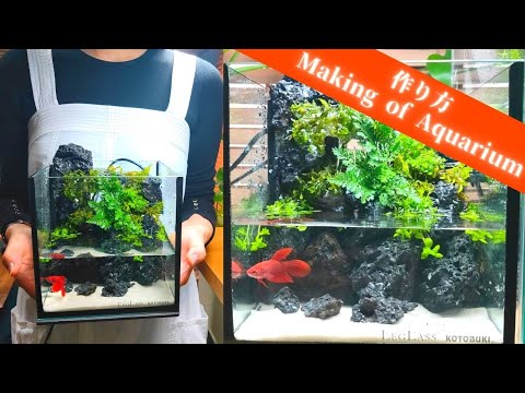 アクアテラリウム作り方#3】15cm小型水槽の渓谷アクアテラリウム - YouTube
