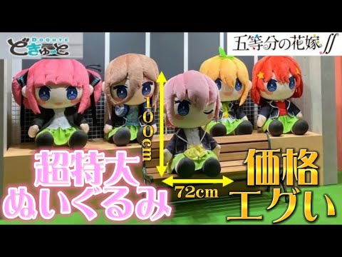 五等分の花嫁 】超巨大ぬいぐるみ登場！価格はまさかの○○円