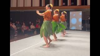 ティーリーフスカート 65センチ丈 大人用 TILEAF SKIRTS