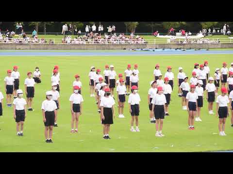 山本真記子 「みんな仲間だ」 1968 - YouTube