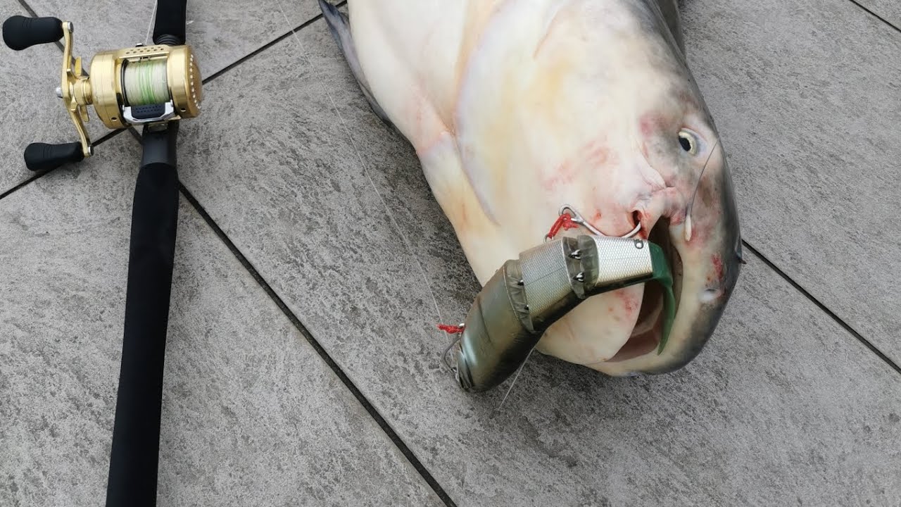 Zenaq Glanz B78-10X - YouTube