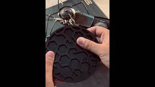 X-TAGE WALNUT 【ROUND M】 | XWAG PRODUCTS