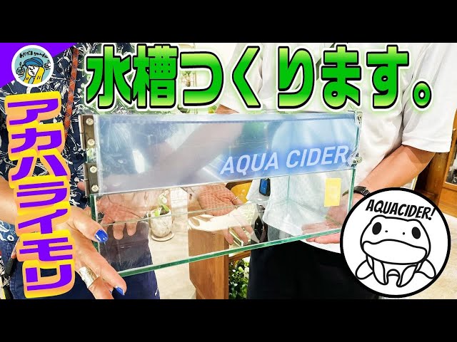 アクアリウム】アクアサイダーがアカハライモリの水槽を作ります