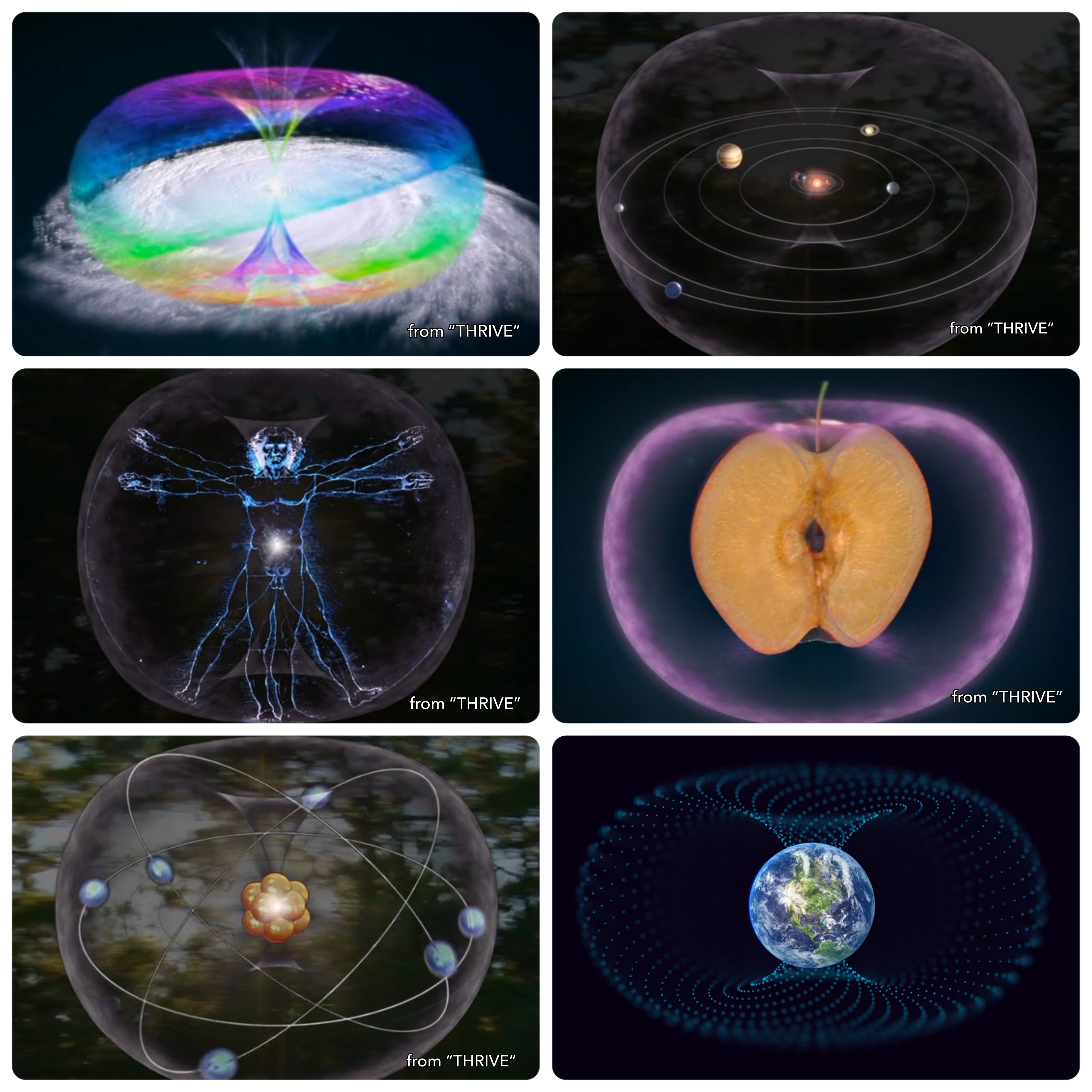 自然が全ての規模で使う基本的な型「トーラス」 - FieldStones