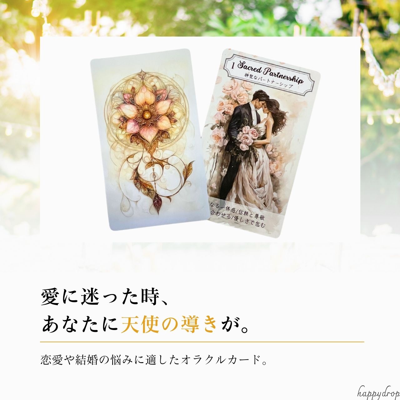 楽天市場】【ご予約商品2/26（木）より発送予定】 セット 真実の愛の