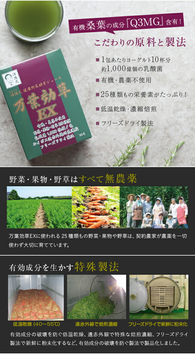 楽天市場】【特典あり】済陽式 万葉効草EX 30包[青汁 乳酸菌 酵素 西台