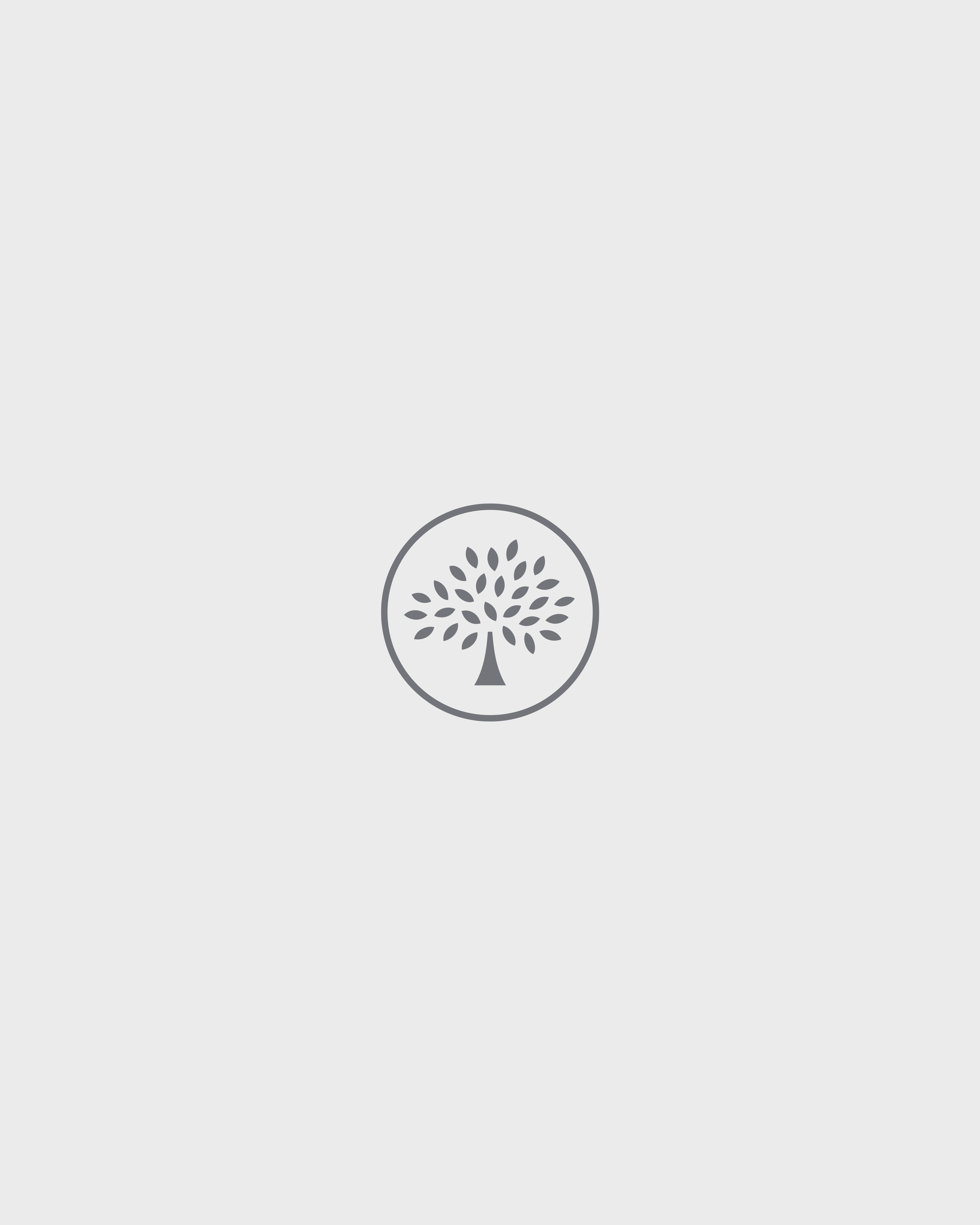 Mulberry | ミディアム ダーリー ウォレット | オーク スモール