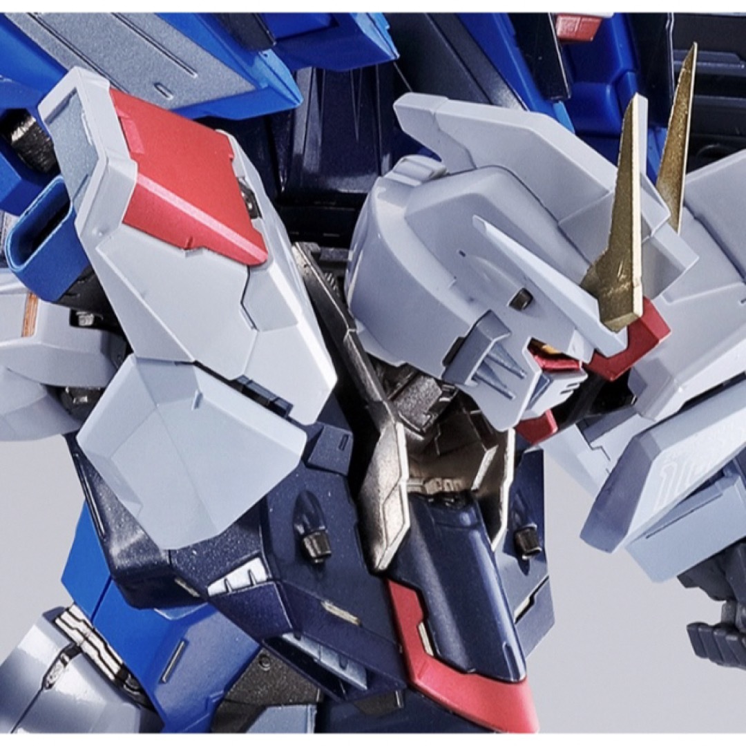 METAL BUILD フリーダムガンダム CONCEPT 2 SNOW
