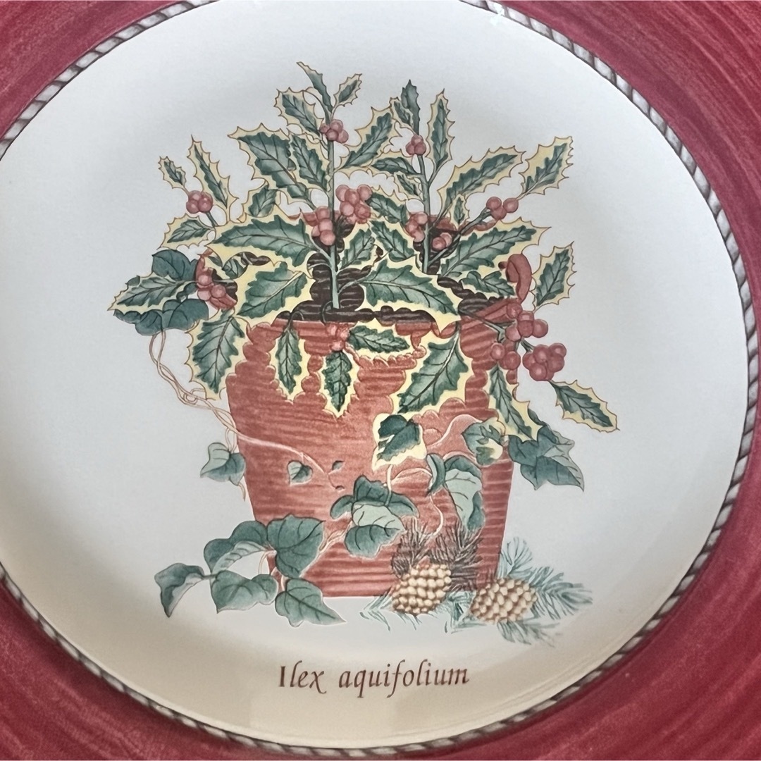 希少品】英国製 ウェッジウッド☆サラズガーデン☆クリスマス限定