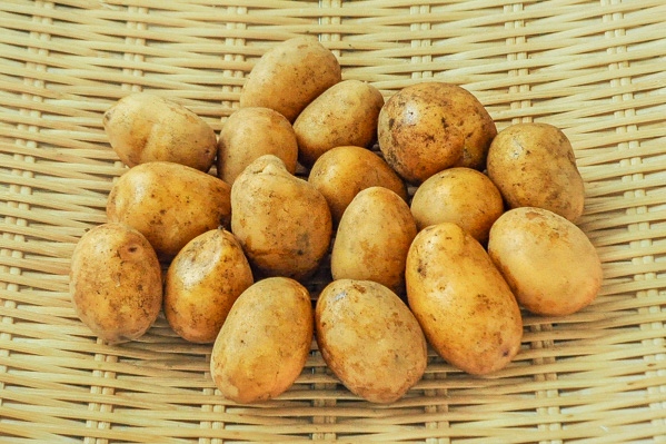 インカのめざめ（M） 【業務用食材の仕入れなら八面六臂】