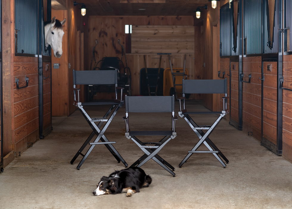 World Famous Director ChairTelescope Casual Furniture