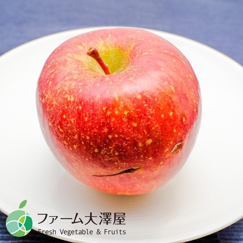 養田さんのはねだしりんご サンふじ サビ・キズあり 家庭用 約2kg 5～7